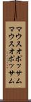 マウスオポッサム Scroll