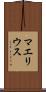 マエリウス Scroll