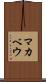 マカベウ Scroll