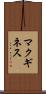 マクギネス Scroll