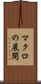 マクロの展開 Scroll