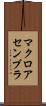 マクロ・アセンブラ Scroll