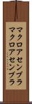 マクロアセンブラ Scroll