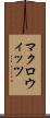 マクロウィッツ Scroll