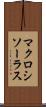 マクロシソーラス Scroll