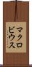 マクロビウス Scroll