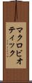 マクロビオティック Scroll
