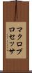マクロプロセッサ Scroll