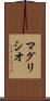 マグリシオ Scroll