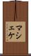 マシェケ Scroll