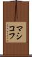 マシコフ Scroll