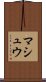 マシュウ Scroll