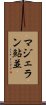 マジェラン鮎並 Scroll