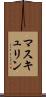 マスキュリン Scroll