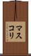 マスコリ Scroll
