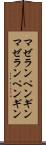 マゼランペンギン Scroll