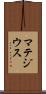 マテジウス Scroll