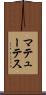 マテューテス Scroll