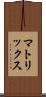 マトリックス Scroll