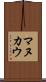 マヌカウ Scroll