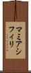 マミアシフィリ Scroll