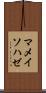 マメイソハゼ Scroll