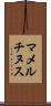 マメルチヌス Scroll