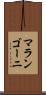 マランゴーニ Scroll