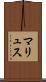 マリュス Scroll