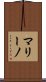 マリーノ Scroll