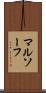 マルソーフ Scroll