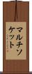 マルチソケット Scroll
