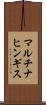 マルチナヒンギス Scroll