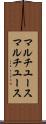 マルチユース Scroll