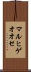 マルヒゲオオセ Scroll