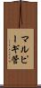 マルピーギ管 Scroll