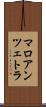 マロアンツェトラ Scroll