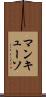マンキューソ Scroll
