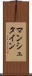マンシュタイン Scroll