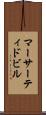 マーサーティドビル Scroll