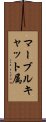 マーブルキャット属 Scroll