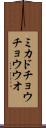 ミカドチョウチョウウオ Scroll