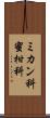 ミカン科 Scroll