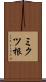 ミクツ根 Scroll