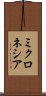 ミクロネシア Scroll