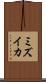 ミズイカ Scroll