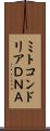 ミトコンドリアＤＮＡ Scroll