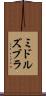 ミドルズブラ Scroll
