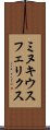 ミヌキウスフェリクス Scroll