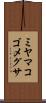 ミヤマコゴメグサ Scroll